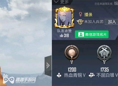 和平精英【404内核】辅助外挂